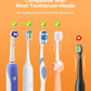 Double Automatic Sensing Toothbrush Box